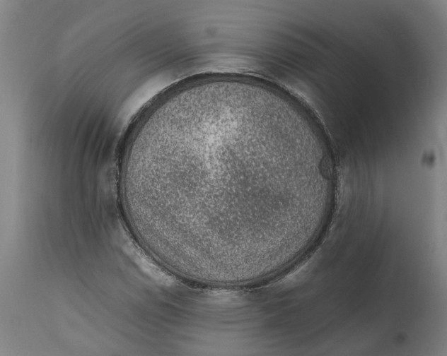 X0000111141114200907211132