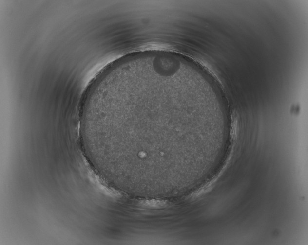 X0000111141117200907211132