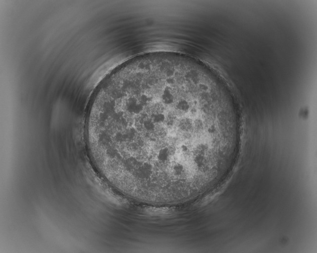 X0000111141121200907211132