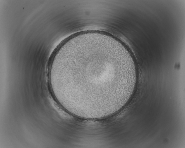 X0000111141124200907211132