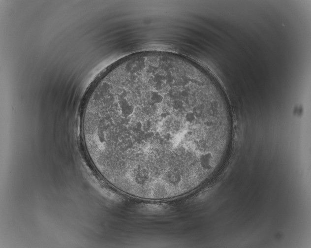 X0000111141125200907211132