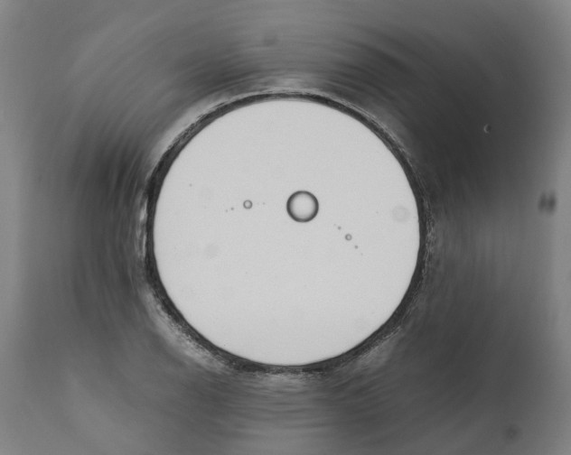 X0000111141126200907211132