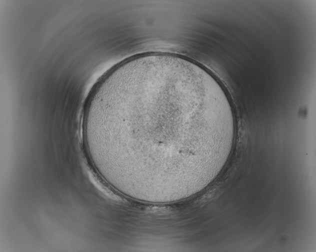 X0000111141128200907211132