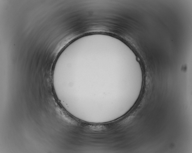 X0000111141129200907211132