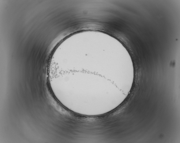 X0000111141130200907211132