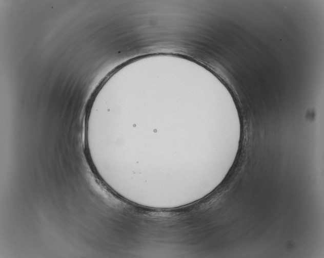 X0000111141132200907211132