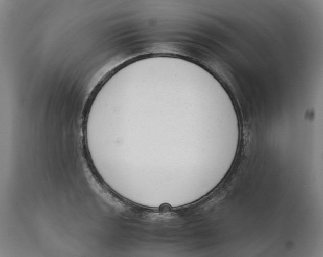 X0000111141133200907211132