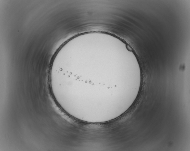 X0000111141134200907211132