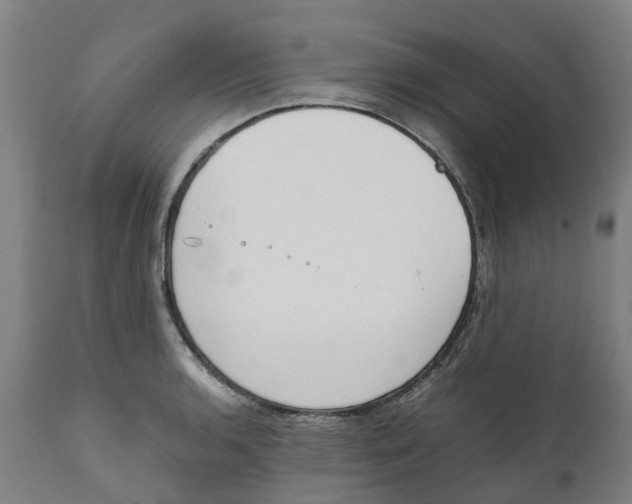 X0000111141136200907211132