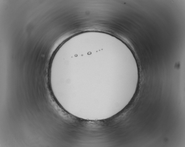 X0000111141138200907211132