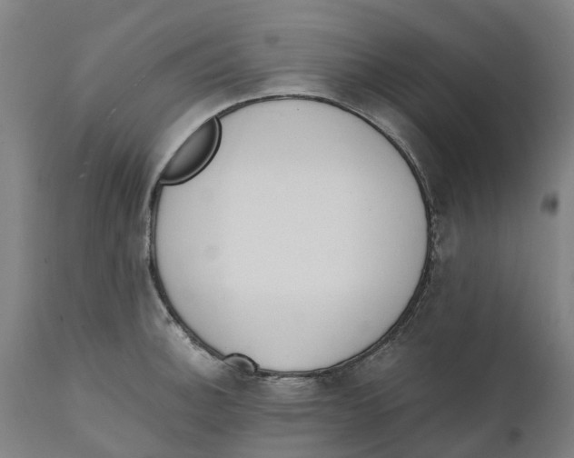 X0000111141140200907211132