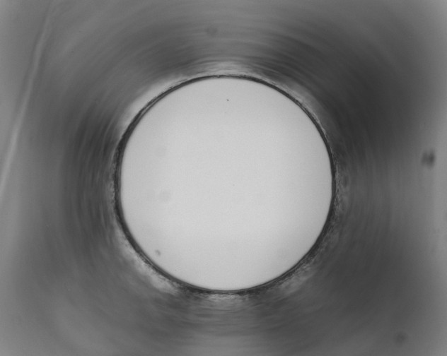 X0000111141142200907211132