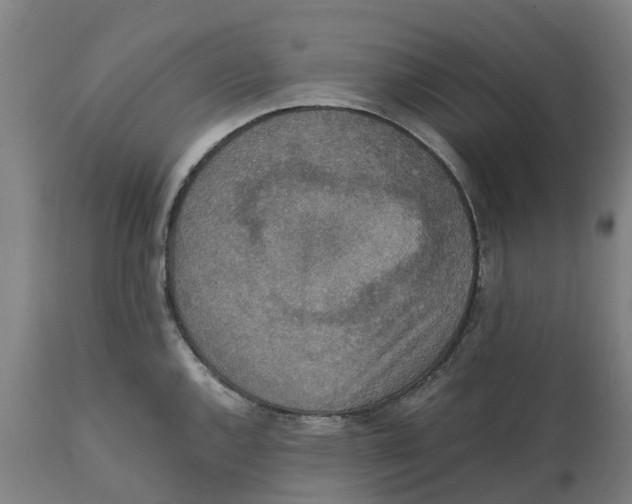 X0000111141144200907211132