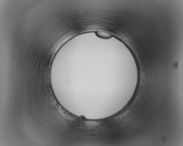 X0000111141145200907211132