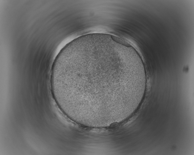 X0000111141146200907211132