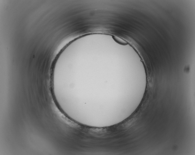 X0000111141147200907211132