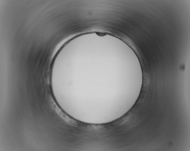 X0000111141148200907211132