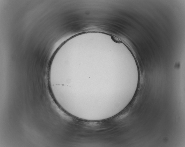 X0000111141149200907211132