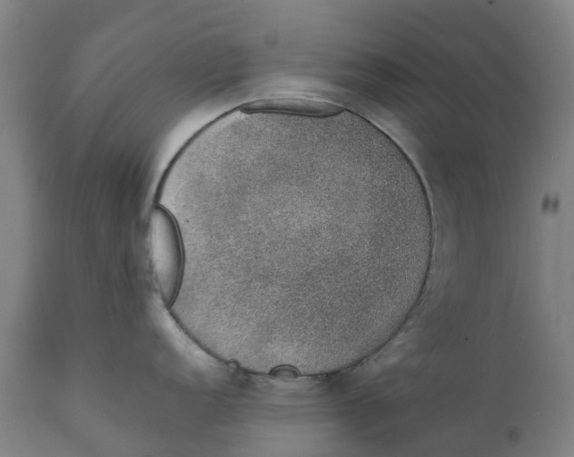 X0000111141152200907211132