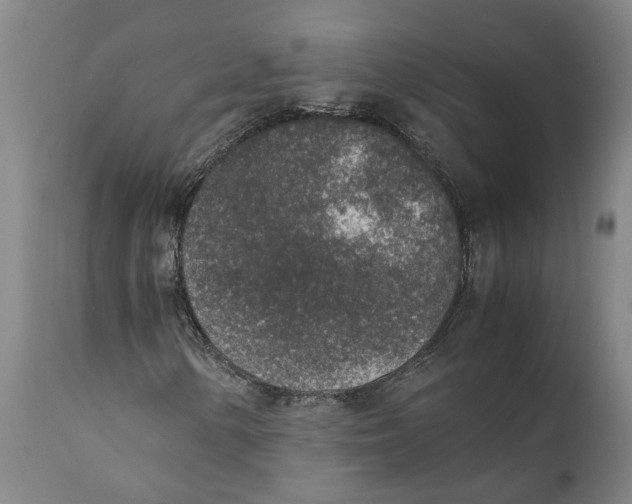 X0000111141154200907211131