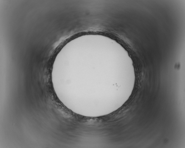 X0000111141160200907211131