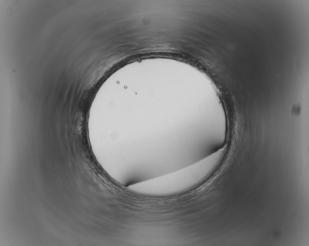 X0000111141161200907211131