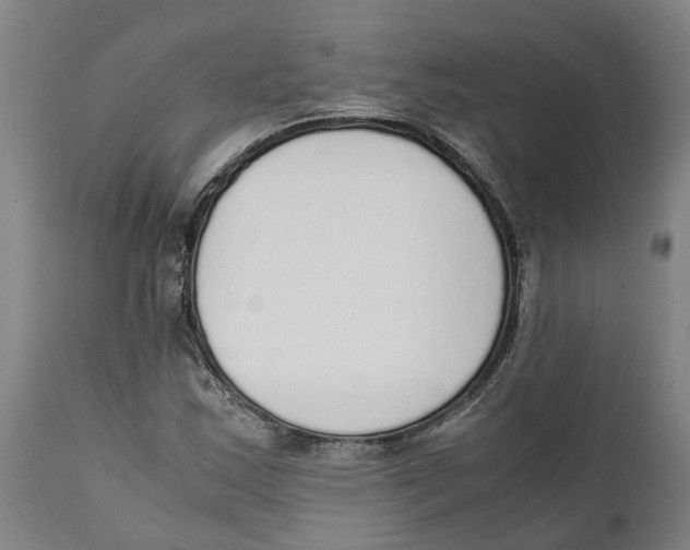 X0000111141163200907211131