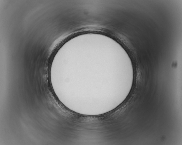 X0000111141164200907211131