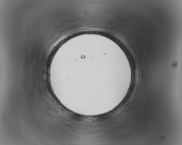 X0000111141165200907211131