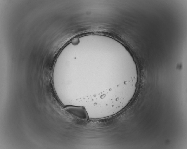 X0000111141169200907211131