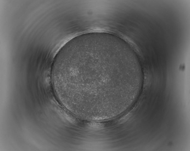 X0000111141170200907211131