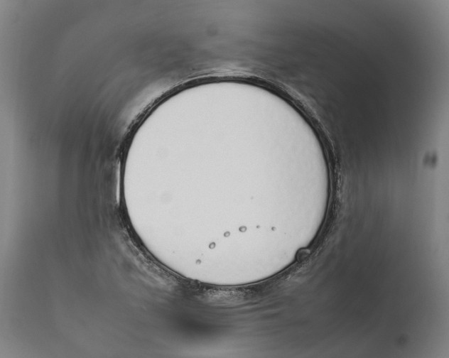 X0000111141171200907211131