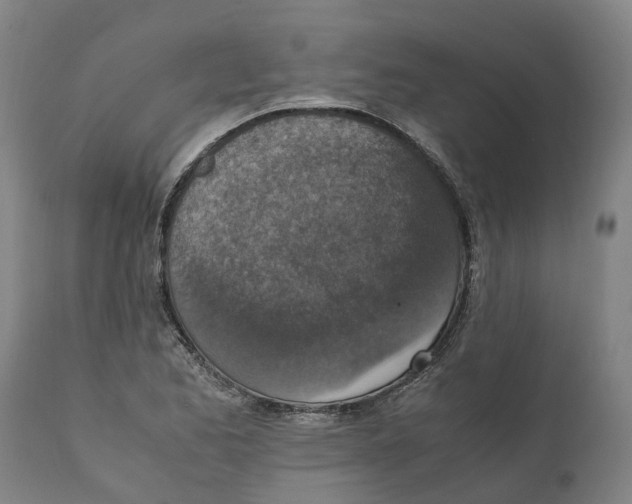 X0000111141173200907211131