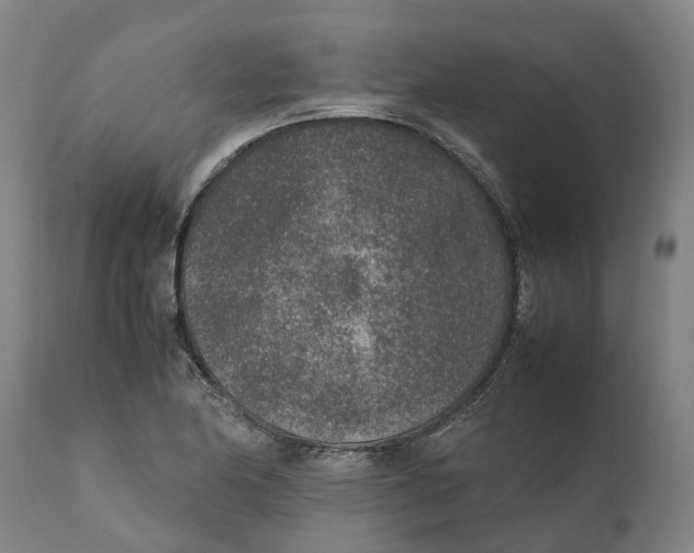 X0000111141174200907211131