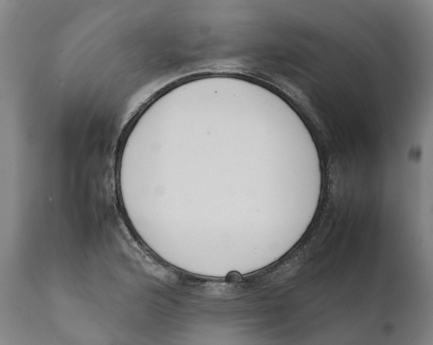 X0000111141176200907211131