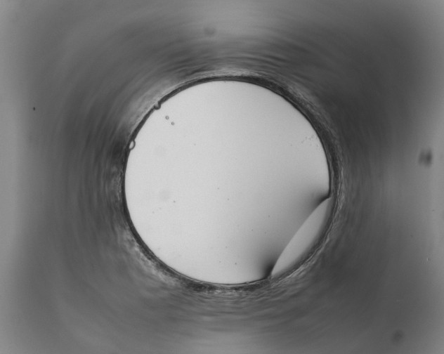 X0000111141177200907211131