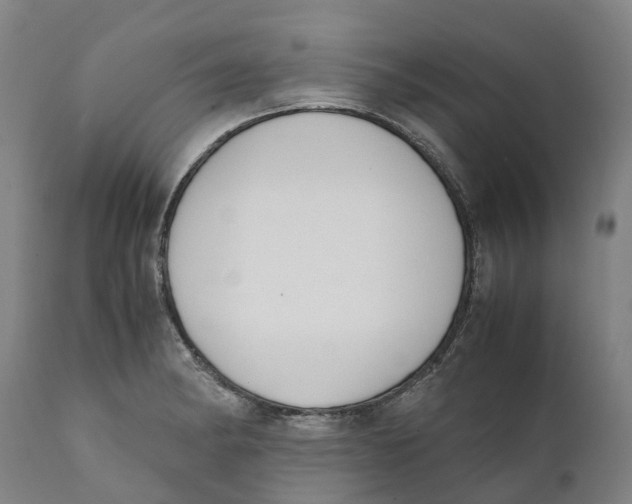 X0000111141182200907211131