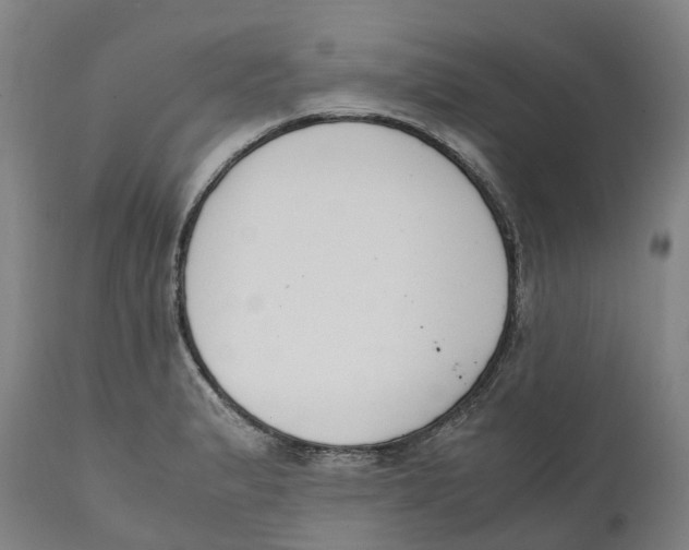 X0000111141183200907211131