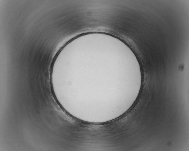 X0000111141184200907211131