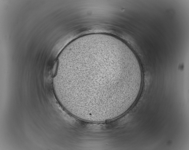 X0000111141185200907211131