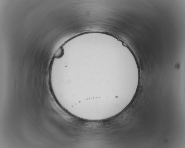 X0000111141187200907211131