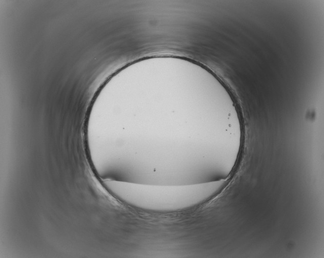 X0000111141189200907211131