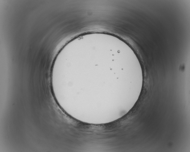 X0000111141191200907211131