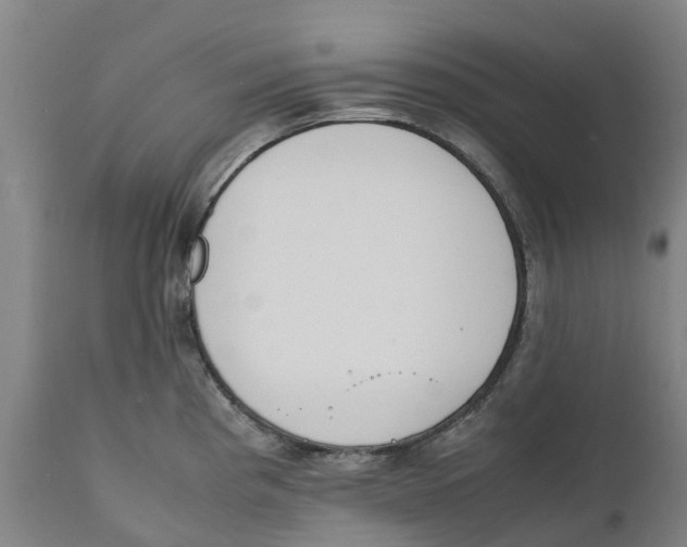 X0000111141193200907211131