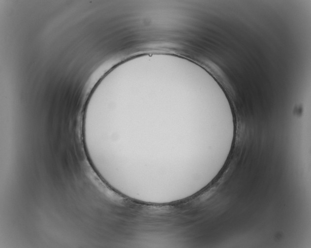 X0000111141196200907211131