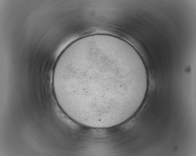 X0000111141198200907211131