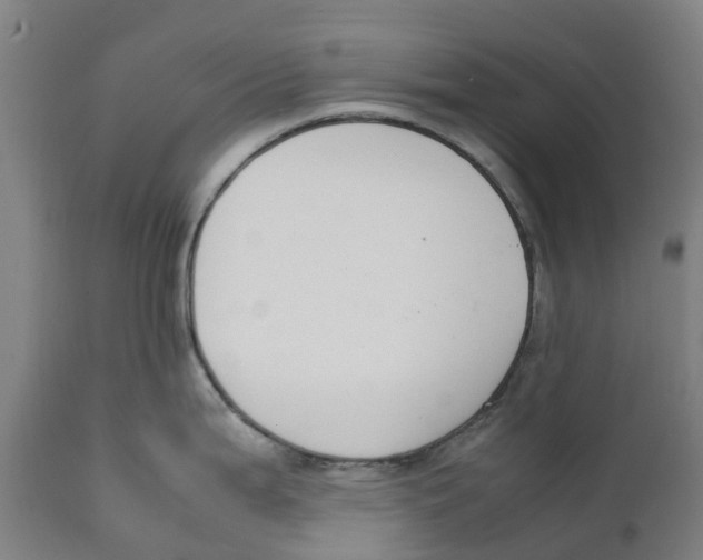 X0000111141199200907211131