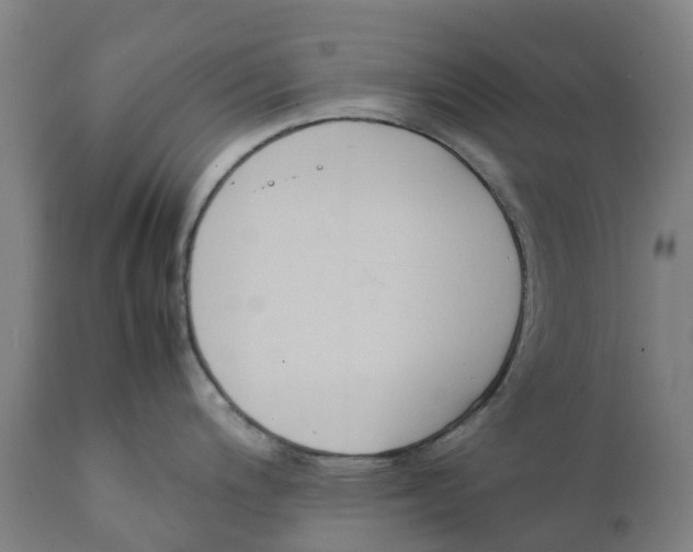 X0000111141200200907211131