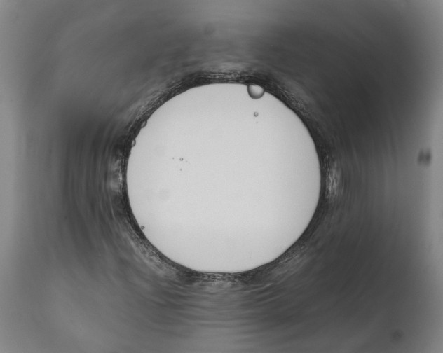 X0000111141204200907211130