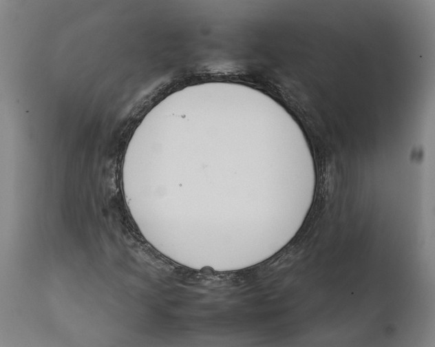 X0000111141205200907211130